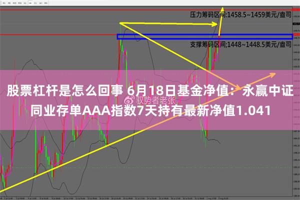 股票杠杆是怎么回事 6月18日基金净值：永赢中证同业存单AAA指数7天持有最新净值1.041