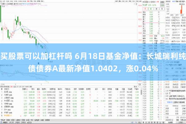 买股票可以加杠杆吗 6月18日基金净值：长城瑞利纯债债券A最新净值1.0402，涨0.04%