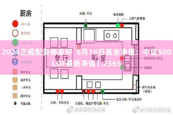 2024正规配资哪家好  6月18日基金净值：中证500LOF最新净值1.2365