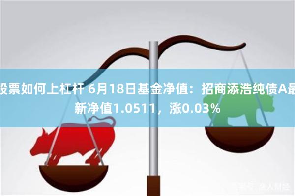 股票如何上杠杆 6月18日基金净值：招商添浩纯债A最新净值1.0511，涨0.03%