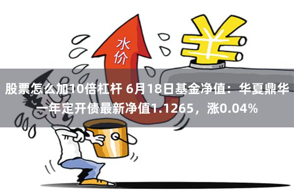 股票怎么加10倍杠杆 6月18日基金净值：华夏鼎华一年定开债最新净值1.1265，涨0.04%