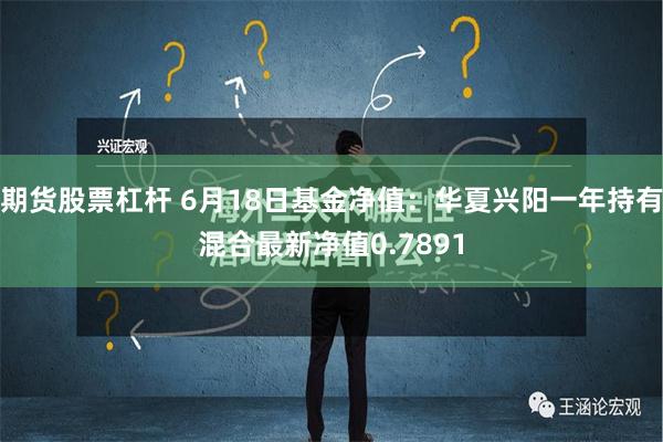 期货股票杠杆 6月18日基金净值：华夏兴阳一年持有混合最新净值0.7891