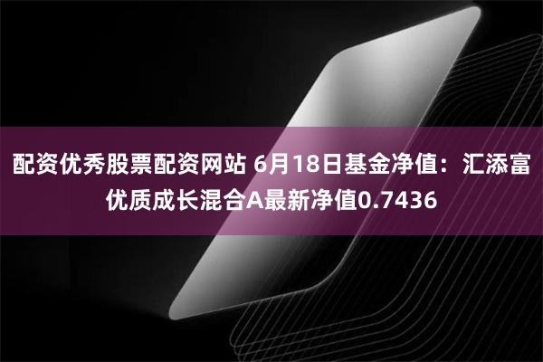 配资优秀股票配资网站 6月18日基金净值：汇添富优质成长混合A最新净值0.7436