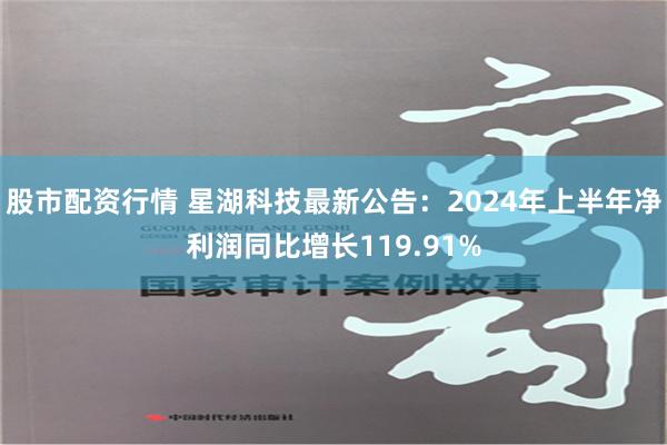 股市配资行情 星湖科技最新公告：2024年上半年净利润同比增长119.91%