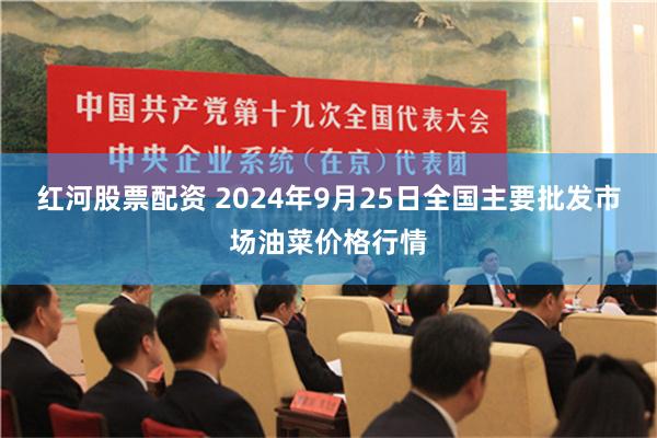 红河股票配资 2024年9月25日全国主要批发市场油菜价格行情